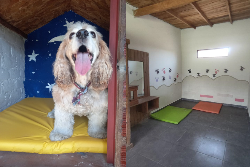 Entrenamiento al aire libre